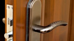  Κλειδαριά για την πόρτα: χαρακτηριστικά επιλογής και εγκατάστασης