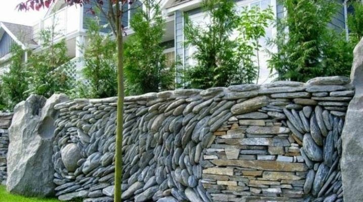  Gard gard decorativ: idei frumoase de design peisagistic