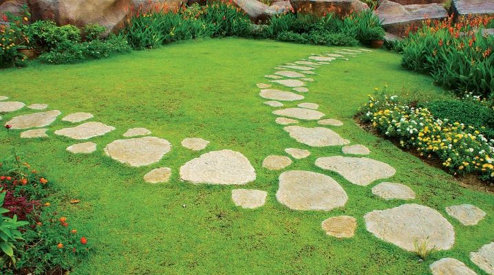  How to make garden paths with your own hands?