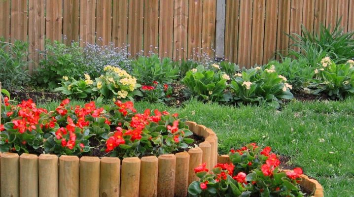  Fences for flower beds: original ideas
