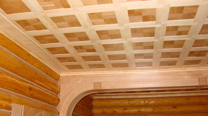  Multiplex-plafond: voor- en nadelen