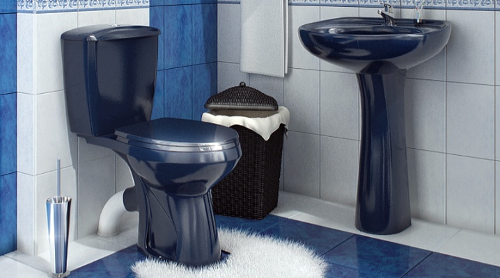  Hur man väljer och installerar en toalettsifon?