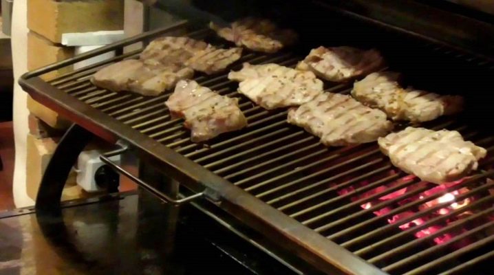  Barbecue Vesta: loại và tất cả sự tinh tế của sự lựa chọn