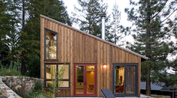 Tek katlı evlerin çatıları: orijinal çözümlerin avantajları