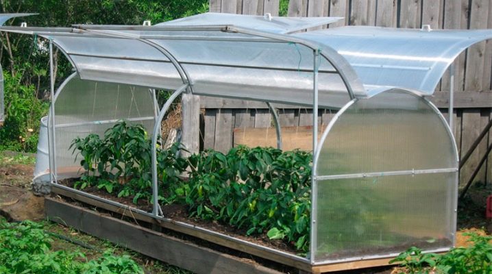  Butterfly greenhouse: design features of manufacturing