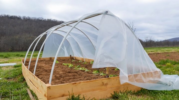  Mga greenhouse ng mga arko na may takip na materyal: mga panuntunan sa pag-install