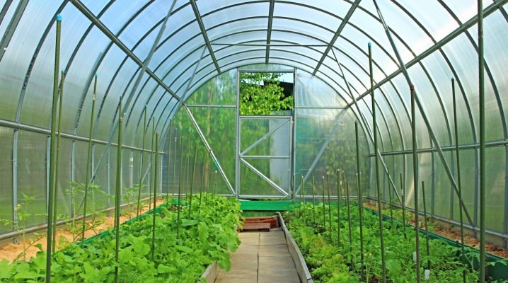  Polycarbonate greenhouses: pros and cons