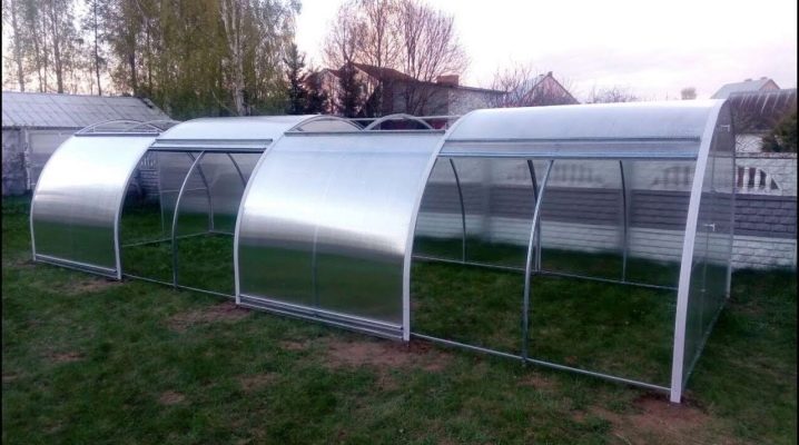  Greenhouses Tulip: mga modelo na may mga gilid ng pambungad at isang sliding roof
