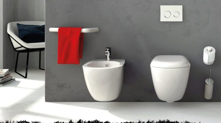  Toaletter Ido: funktionalitet och skönhet