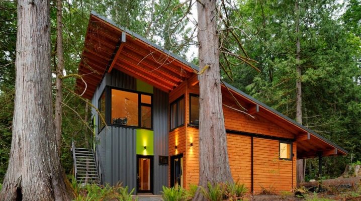  Shed roofs: design features, types and materials