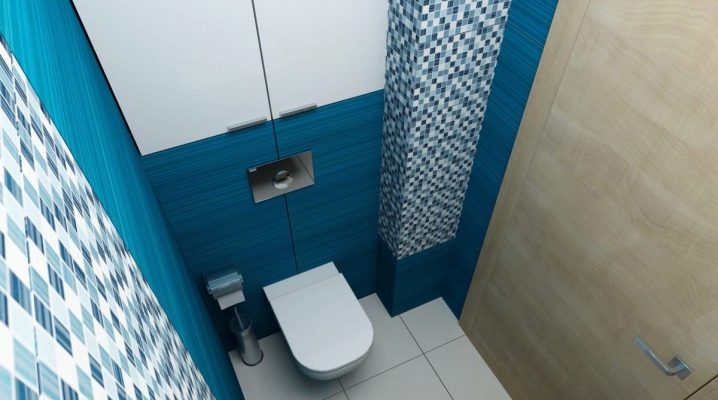  Sisustussuunnittelun wc: n hienovaraisuudet