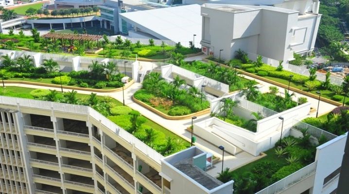  Tetti verdi: tecnologia del tetto erboso