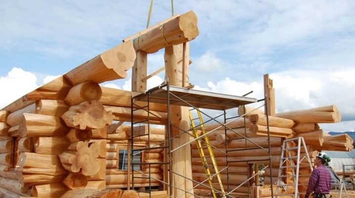  Casas de un tronco: ¿cómo construir una vivienda cálida y de alta calidad?