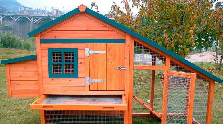  Mini-chicken coop: mga proyekto, konstruksiyon at pag-aayos