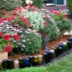  How to make flower beds and flower gardens with your own hands from scrap materials?
