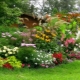  Features of landscape design flower beds