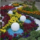  ملامح تصميم أسرة زهرة و flowerbeds من المزهرة المستمر بأيديهم