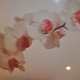  Stretchplafond met orchidee: originele inrichting in het interieur