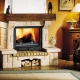  Hall na may fireplace: interior design ideas