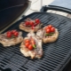  Grills Weber: the rules of choice and care