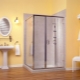  วิธีเลือกประตูห้องอาบน้ำฝักบัว: ประเภทและข้อกำหนด