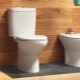  Етажни тоалетни с цистерна: функции и популярни модели