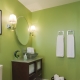  Features painting the walls in the bathroom