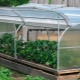  Butterfly greenhouse: mga tampok na disenyo ng pagmamanupaktura