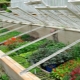  Greenhouses para sa mga seedlings: mga uri at ang kanilang mga tampok