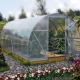  Reinforced greenhouse: ang pinakamahusay na mga opsyon sa bansa