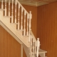  Σκάλες πεύκου: τα μυστικά της κατασκευής όμορφων σχεδίων