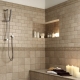  بلاط الجدران في الحمام: الأفكار الأصلية في التصميم الداخلي