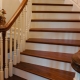  Pros and cons of larch stairs