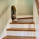  Escadas para as escadas: o tamanho e os métodos de instalação