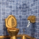  Златни тоалетни: луксозна баня с декорация