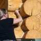  Calafateo de troncos: ¿cómo, cuándo y cómo hacerlo?