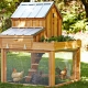  Làm thế nào để xây dựng một chuồng gà cho gà đẻ?