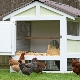 Kenmerken van het bouwen van een winter kippenhok voor 10 kippen