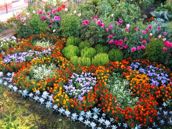 Reka bentuk landskap taman bunga  60 gambar jenis katil 