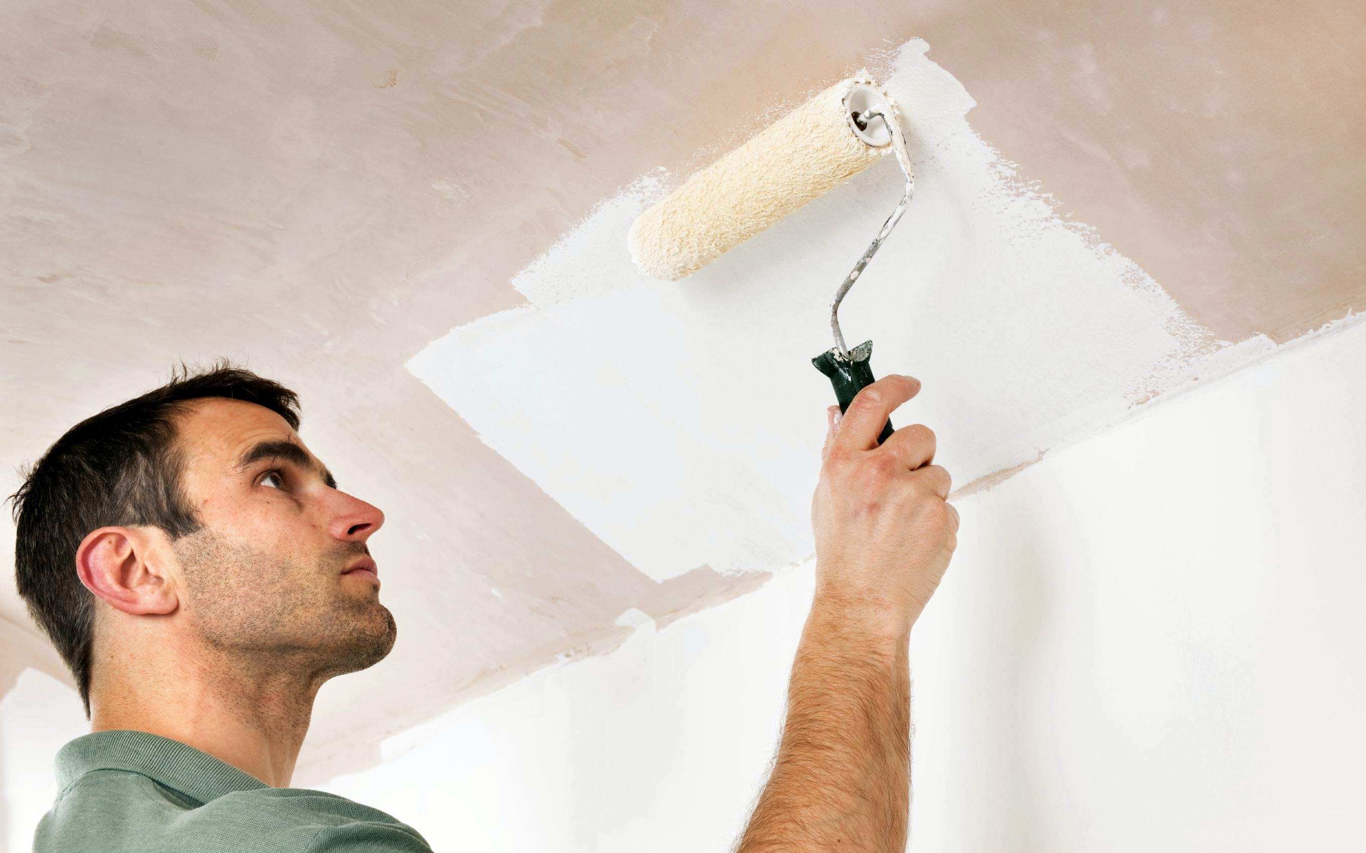 Plaster Ceiling How To Properly Plaster Their Own Hands Methods And Technology Of Application