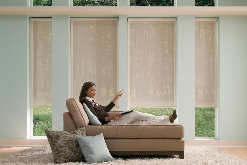 Curtains With Electric Drive, Remote Control Curtains