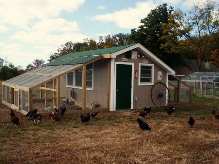 حظيرة دجاج على 10 دجاجات بأيديهم (53 صورة): كيفية بناء مبنى لـ10 